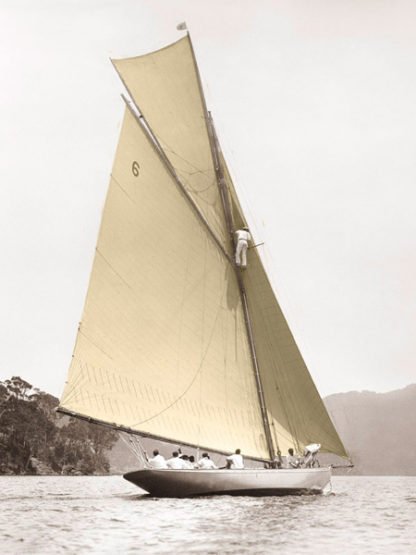 ANONYMOUS - Vintage Yacht
