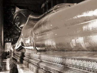 PANGEA IMAGES - Praying the Reclined Buddha, Wat Pho, Bangkok, Thailand (sepia)