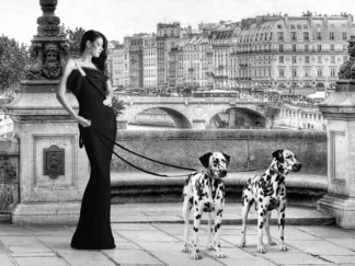 JULIAN LAUREN - Walking in Paris