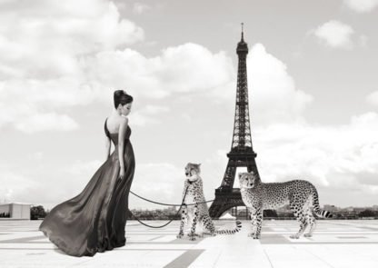 JULIAN LAUREN - Trocadero View (detail)