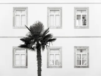 JULIAN LAUREN - Hotel Room