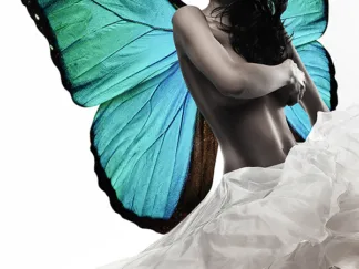 JULIAN LAUREN - Winged Beauty 1 (detail)