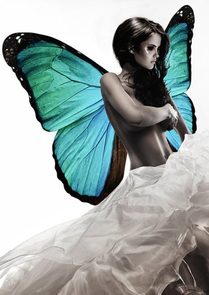 JULIAN LAUREN - Winged Beauty 1 (detail)
