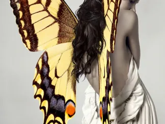 JULIAN LAUREN - Winged Beauty 3