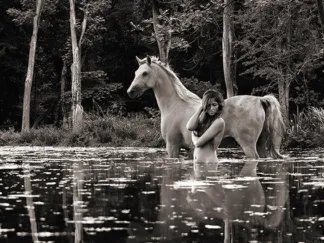 JULIAN LAUREN - In the Wilderness