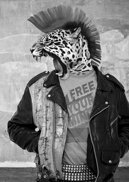 VIZLAB - Leopunk