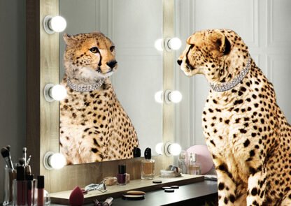 LAUREN JULIAN - Wild Beauty