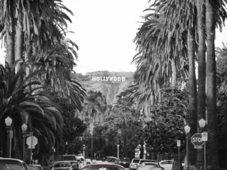 GASOLINE IMAGES - Boulevard in Hollywood