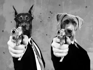 VIZLAB - Reservoir Dogs