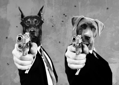 VIZLAB - Reservoir Dogs
