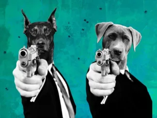 VIZLAB - Reservoir Dogs
