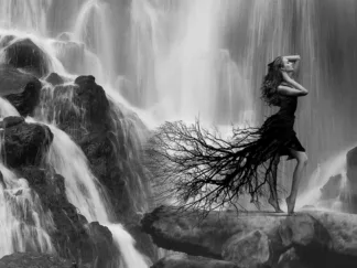 JULIAN LAUREN - Nature's Beauty