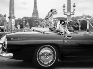 JULIAN LAUREN - In Paris