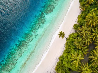 PANGEA IMAGES - Tropical Beach, Aerial View
