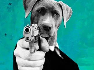 VIZLAB - Reservoir Dogs II