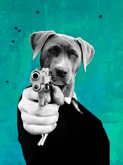 VIZLAB - Reservoir Dogs II