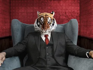 VIZLAB - El Tigre
