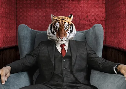 VIZLAB - El Tigre