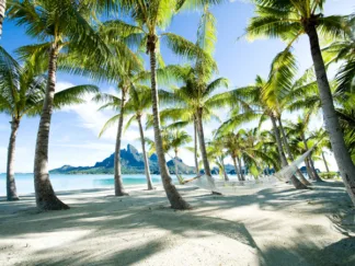 ANONYMOUS - Hammock at Bora Bora