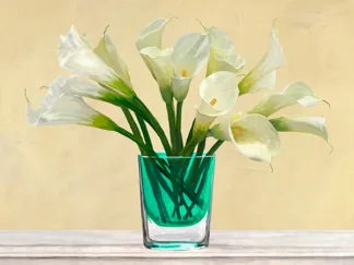 ANDREA ANTINORI - White Callas in a Glass Vase