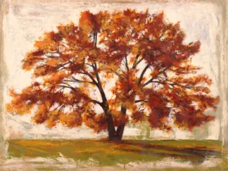 LEONARDO BACCI - Mattino