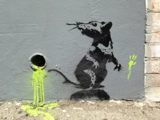 ANONYMOUS (ATTRIBUTED TO BANKSY) - Orange Drive, Los Angeles