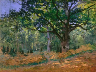 CLAUDE MONET - The Bodmer Oak, Fontainebleau Forest