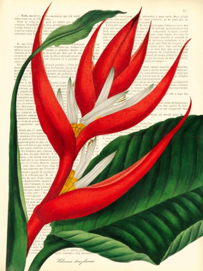 REMY DELLAL - Vintage Botany I