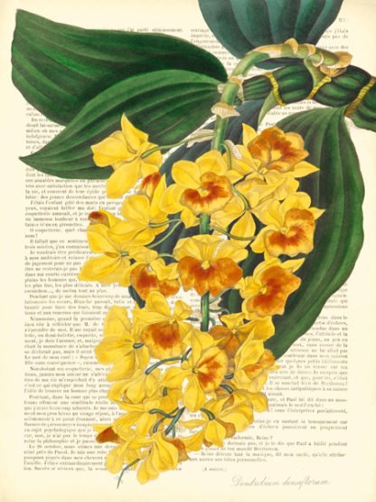 REMY DELLAL - Vintage Botany III