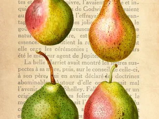 REMY DELLAL - Pears, After Redouté