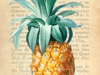 REMY DELLAL - Pineapple, After Redouté