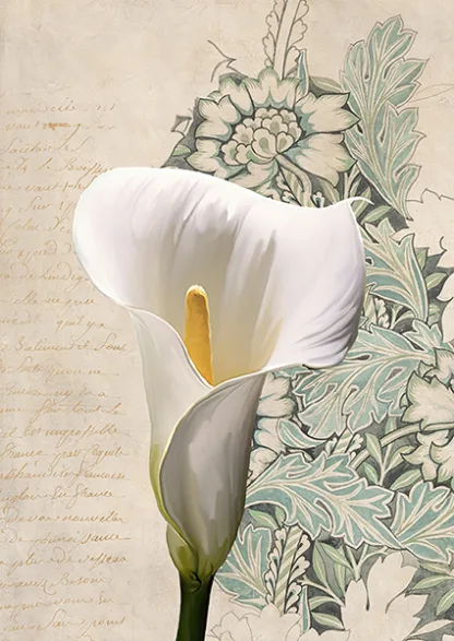 ELENA DOLCI - Calla I