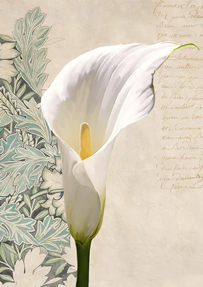 ELENA DOLCI - Calla II