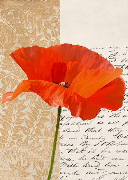 ELENA DOLCI - Poppy III
