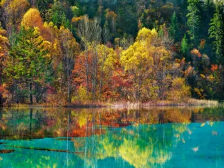 FRANK KRAHMER - Forest in Autumn Colours, Sichuan, China