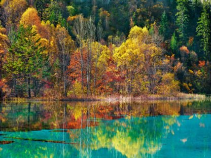 FRANK KRAHMER - Forest in Autumn Colours, Sichuan, China