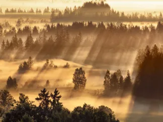 FRANK KRAHMER - Fog Impression at Sindelbachfilz, Bavaria, Germany