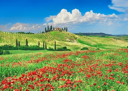 FRANK KRAHMER - Farmhouse with Cypresses and Poppies, Val d'Orcia, Tuscany