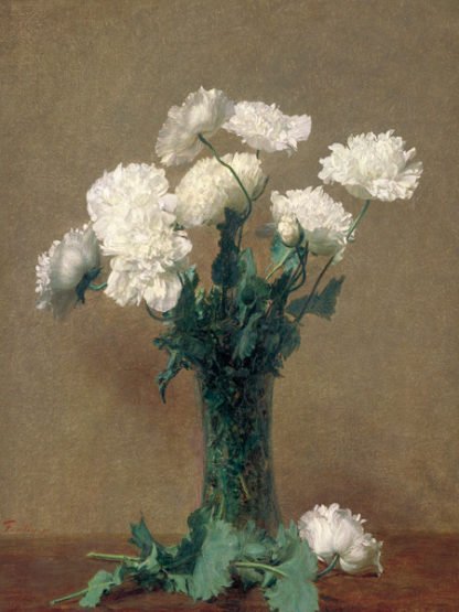 HENRI FANTIN-LATOUR - White Poppies