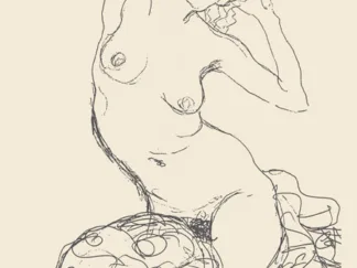 GUSTAV KLIMT - Seated Nude Woman