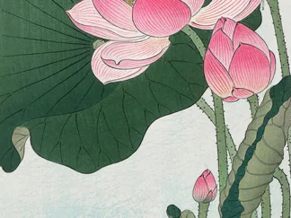OHARA KOSON - Blooming Lotus Flowers