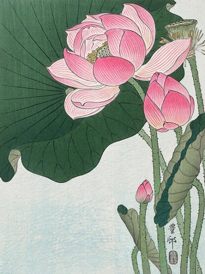 OHARA KOSON - Blooming Lotus Flowers