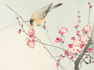 OHARA KOSON - Songbird on Blossom Branch