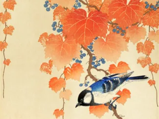 OHARA KOSON - Great tit on Paulownia Branch