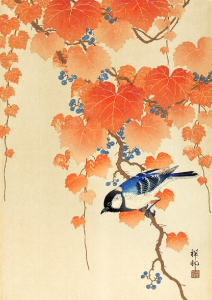 OHARA KOSON - Great tit on Paulownia Branch