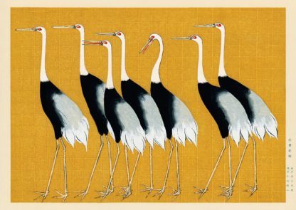 OGATA KORIN - Flock of Japanese Red Crown Cranes