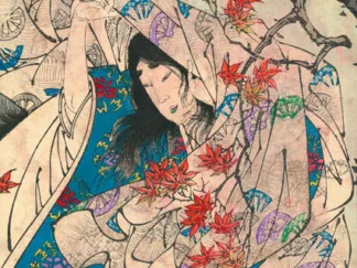 TSUKIOKA YOSHITOSHI - Maple leaf Gathering