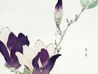 WATANABE SEITEI - Purple Magnolia, 1896