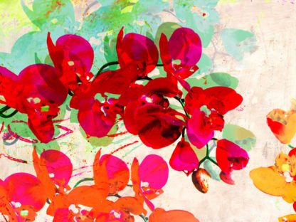 KELLY PARR - Orchidreams