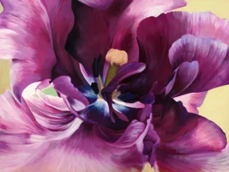 LUCA VILLA - Purple Tulip Close-up